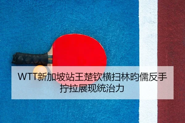 WTT新加坡站王楚钦横扫林昀儒反手拧拉展现统治力