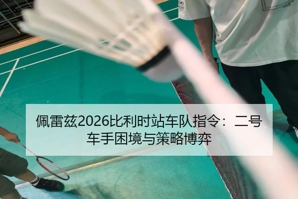 pei-lei-zi-bi-li-shi-zhan-che-dui-zhi-ling-er-hao-che-shou-kun-jing-yu-ce-lve-bo-yi-3-626.jpg